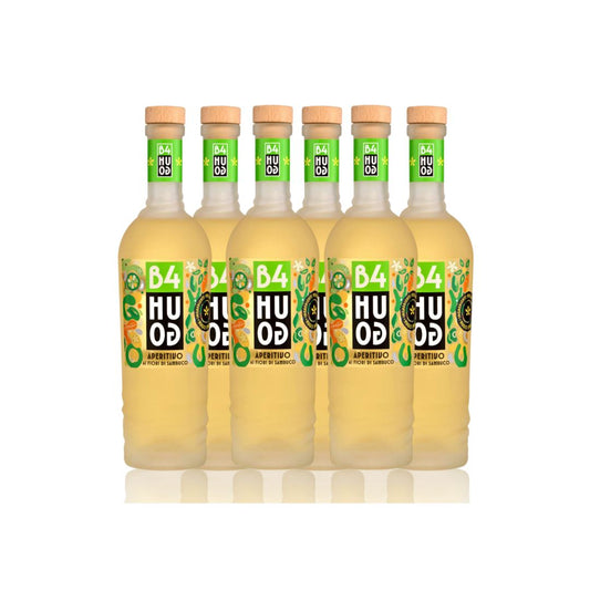 B4HUGO | Pack de 6 bot - 700ml